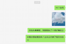 巢湖遇到恶意拖欠？专业追讨公司帮您解决烦恼